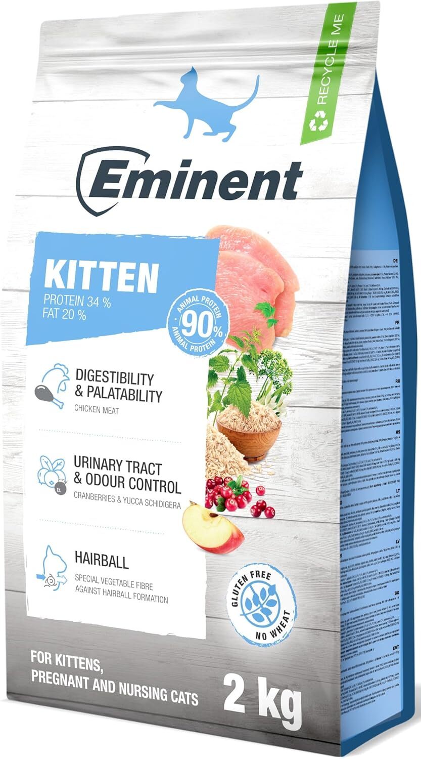 Eminent Kitten Chicken - zoom