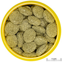 JBL ProNovo Pleco Wafer #6