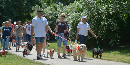 Varga Győző kutyája féltékeny az új kedvencre