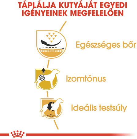 Royal Canin Pug Adult - Mopsz felnőtt kutya száraz táp