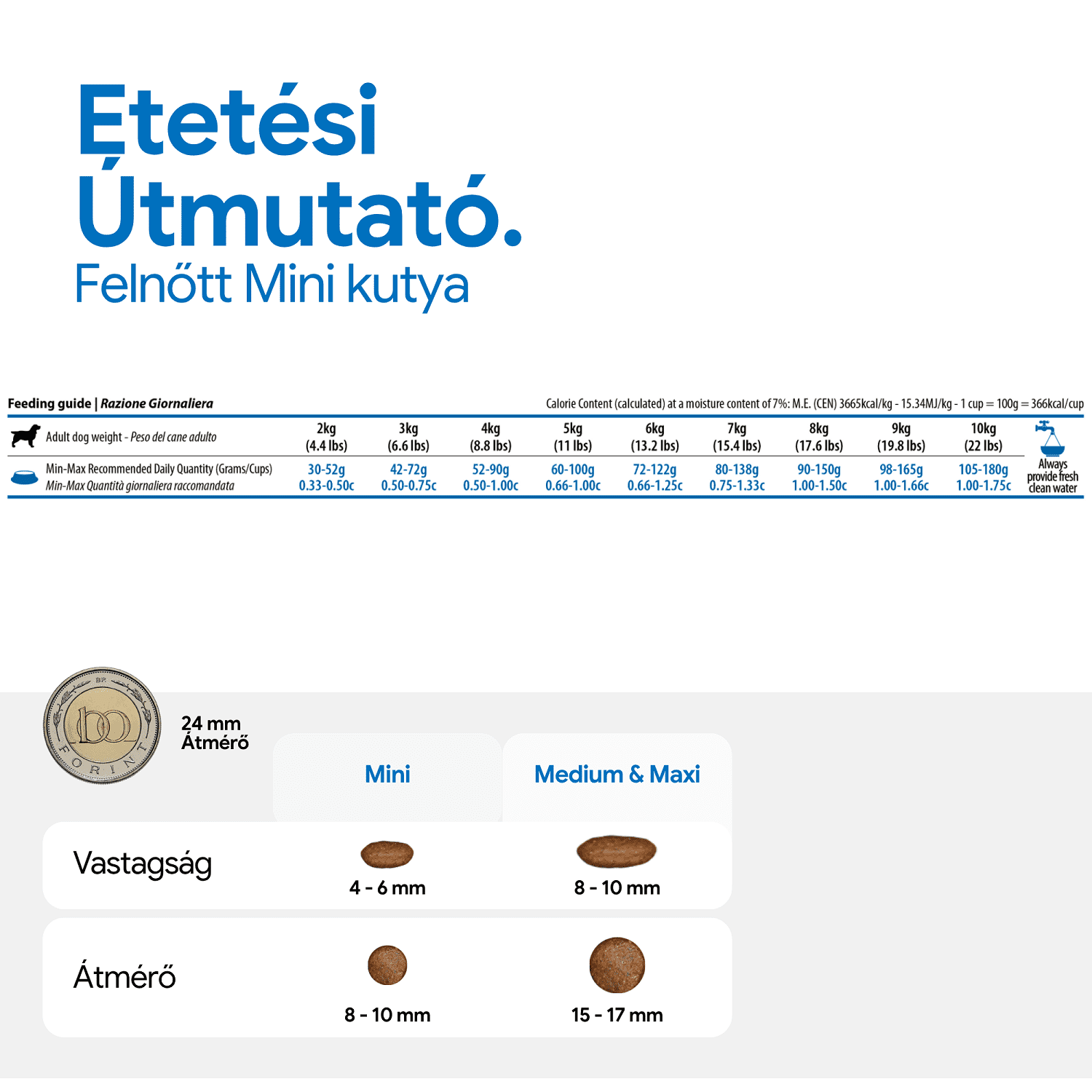 N&D Dog Grain Free Quinoa Skin & Coat Duck – Bőr- és szőrproblémákra | Szuperprémium kutyatáp