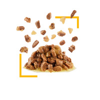 Royal Canin Sensory Taste Jelly - Zselés felnőtt macska nedves táp fokozott íz élménnye #5