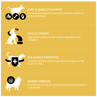 Profine Adult Large Chicken & Potatoes | Táp nagytestű kutyáknak csirkével és burgonyával #5