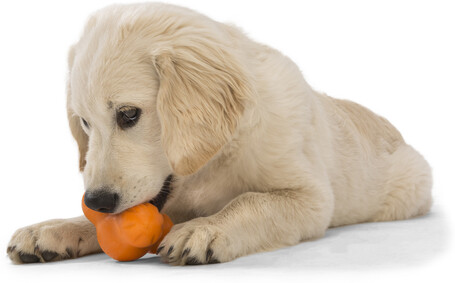 West Paw Tux - Jutalomfalattal tölthető játék