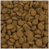 Orijen Regional Red kutyatáp #4