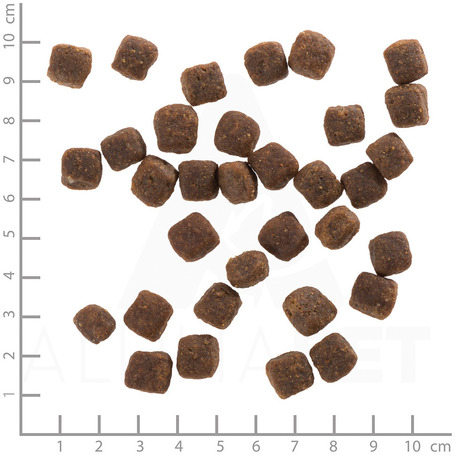 Wolfsblut Wild Duck Large Breed - Vadkacsa és burgonya