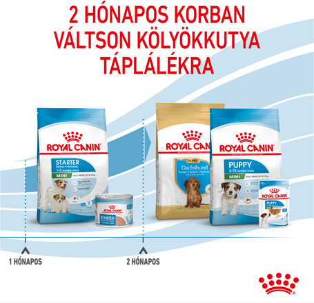 Royal Canin Mini Starter - Száraz táp kistestű vemhes szuka és kölyök kutya részére 2 hónapos korig