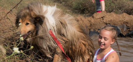 Kutyás futóverseny gyerekeknek - egy felejthetetlen élmény!