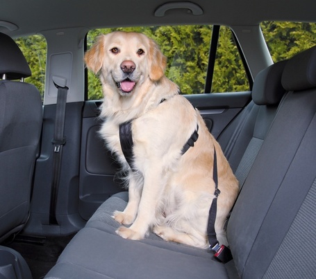 Trixie autós biztonsági öv + hám kutyáknak