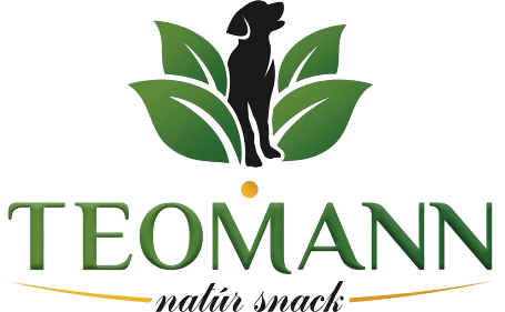 Teomann