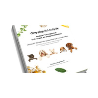 Budapest Drops 2019 - Nemzetközi Aromaterápiás Konferencia - Öngyógyító kutyák workshop