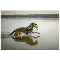 Julius-K9 IDC neonzöld/sárga powerhám kutyáknak #5