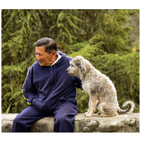 Delikan Original Balance alacsony aktivitású, túlsúlyos felnőtt vagy idős kutyáknak #2