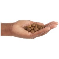 Acana Prairie Poultry #11