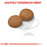 Royal Canin Maxi Adult 5+ | Nagytestű idősödő kutya száraz táp #4