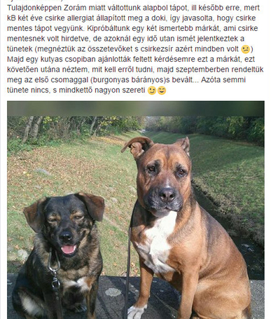 Dado Hypoallergenic Puppy Mini Fish & Rice | Hipoallergén halas táp kistestű kölyökkutyáknak