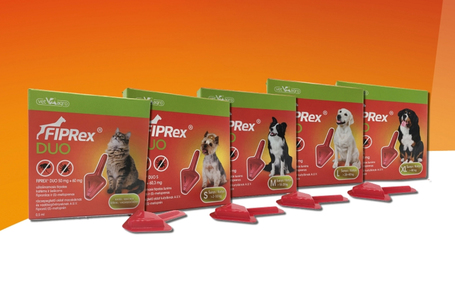 Fiprex Duo (~ Combo) rácsepegtető oldat macskáknak és vadászgörényeknek