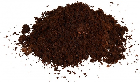 Trixie kókuszos talaj terráriumba pókoknak