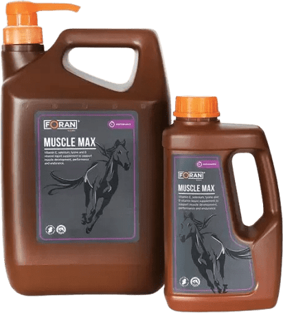 Foran Muscle Max ízletes izomfejlesztő szirup lovaknak