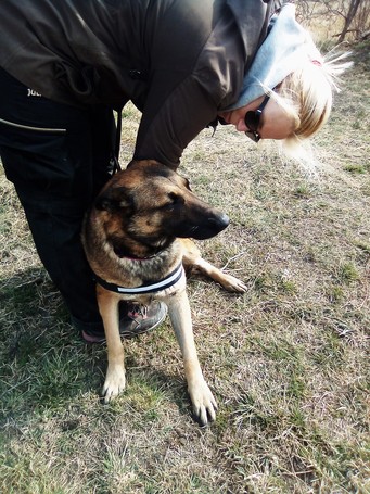 Kira, 3 éves, 61 cm magas, szuka