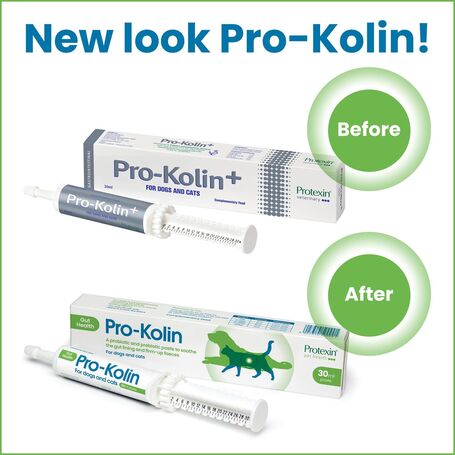 Protexin Pro-Kolin+ paszta