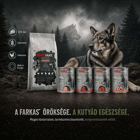 Mikor lehet jó választás a csirkementes kutyatáp?