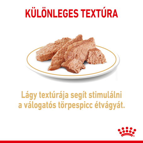 Royal Canin Pomeranian Adult - Pomerániai törpespicc felnőtt kutya nedves táp