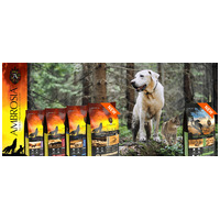 Új ízek, régi lelkesedés – gazdik tapasztalatai az Ambrosia kutya- és macskatápokról