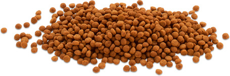 Tetra Cichlid Colour Mini Pellets sügértáp