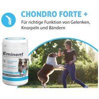 Eminent Chondro Forte+ #2