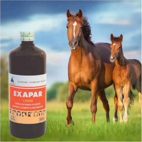 Exapar placentakiürülést segítő itatófolyadék