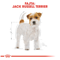 Royal Canin Jack Russel Terrier Adult - Jack Russell Terrier felnőtt kutya száraz táp #2