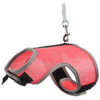 Trixie Soft Soft strapabíró hám és póráz rágcsálóknak, nyúlnak #2