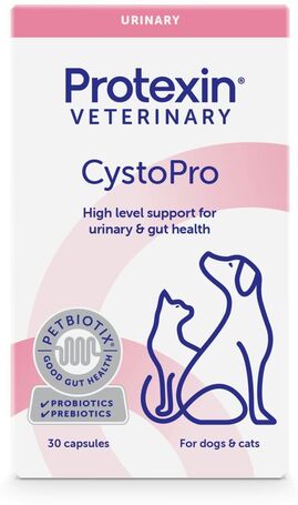 Protexin Cystopro húgyúti problémák kezelésére és megelőzésére kutyáknak és macskáknak