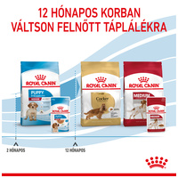 Royal Canin Medium Puppy - Nedves táp közepes testű kölyök kutya részére #6