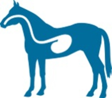 Lovak emésztésének támogatása