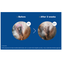 Douxo S3 Pyo sampon kutyáknak és macskáknak #2