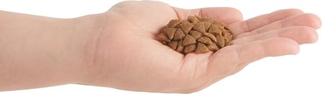 Acana Homestead Harvest baromfis macskaeledel