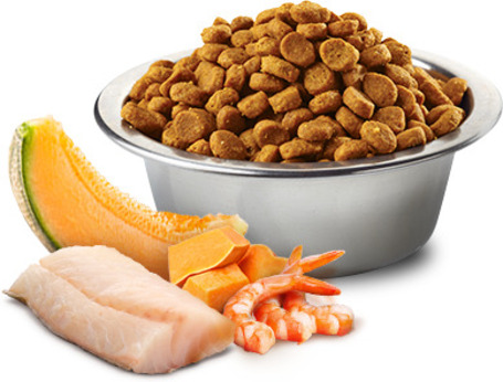 N&D Cat Ocean Kitten sütőtök, tőkehal & sárgadinnye