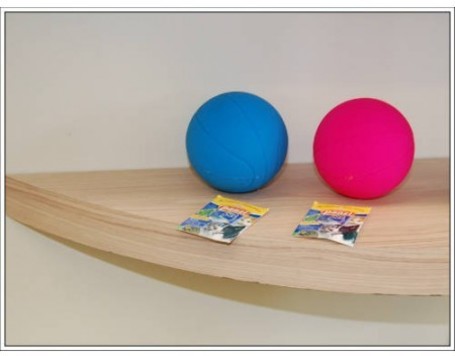 Panzi kosárlabda kutyáknak