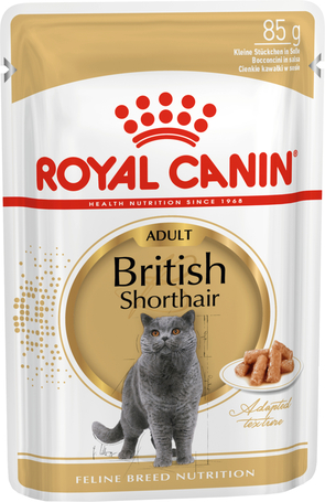 Royal Canin British Shorthair Adult - Brit rövidszörű felnőtt macska nedves táp