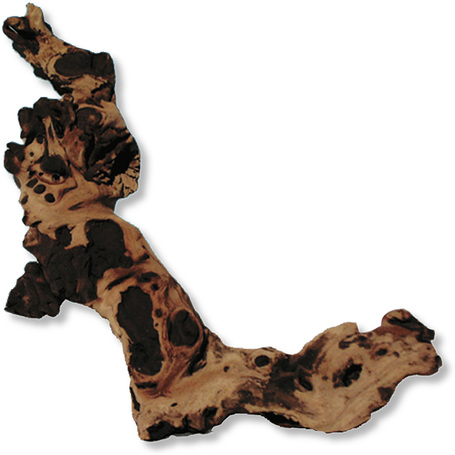 Mopani afrikai vasfa akváriumba