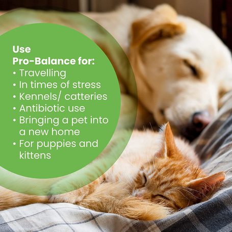 Protexin Pro-Balance probiotikus és prebiotikus rágótabletta kutyáknak és macskáknak