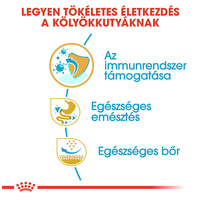 Royal Canin French Bulldog Junior - Francia Bulldog kölyök kutya száraz táp #4