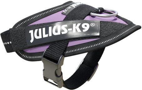 Julius-K9 IDC lila powerhám kutyáknak