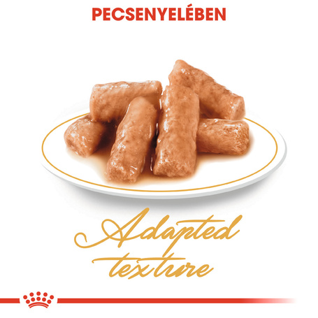 Royal Canin British Shorthair Adult - Brit rövidszörű felnőtt macska nedves táp