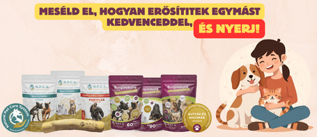 💪Erősítsd kedvenced immunrendszerét, és a köztetek lévő köteléket is – Burgimmune nyereményjáték!🎁