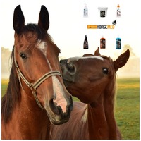 Horsemed Hot Express bemelegítő gél lovaknak #5