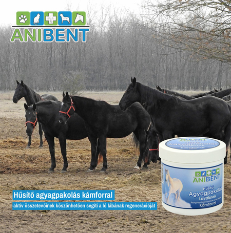 Anibent hűsítő agyagpakolás mentollal