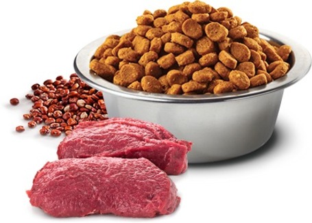 N&D Dog Grain Free Quinoa Skin & Coat Venison
